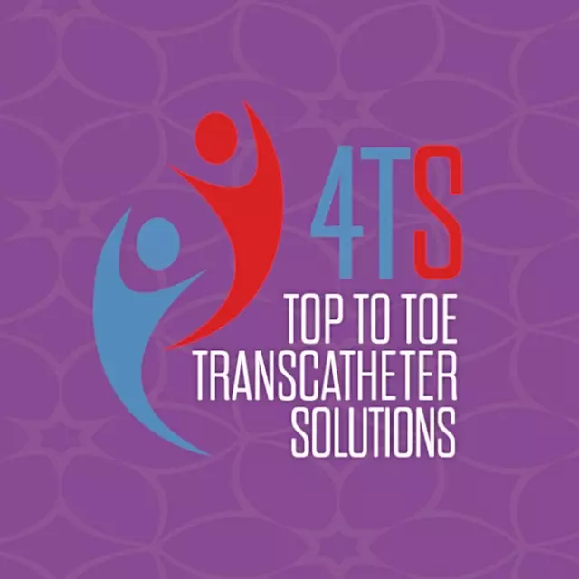 4TS conference Dubai